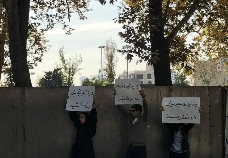 ماجرای یک تجمع علیه شهرداری در تجریش تهران