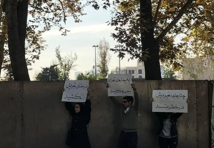 ماجرای یک تجمع علیه شهرداری در تجریش تهران