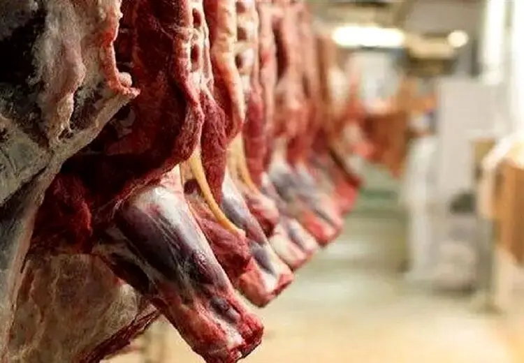 تکذیب توزیع گوشت آلوده مغولستانی در رشت
