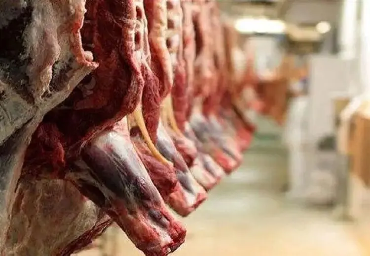 گوشت وارداتی ۸۰۰ هزار تومانی، نتیجه حذف ارز ترجیحی است