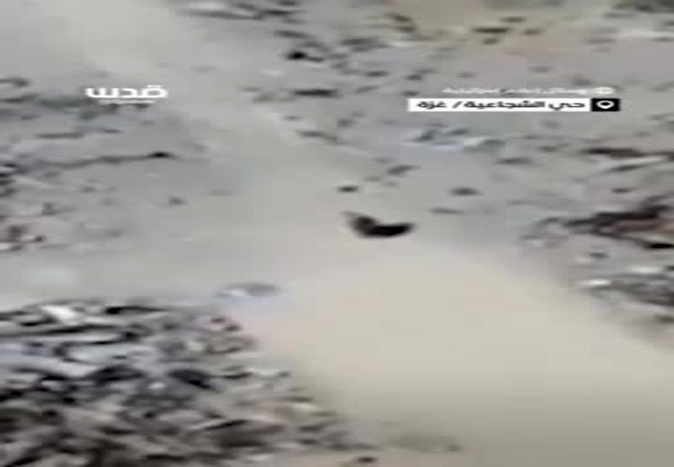 تصاویر دلخراش از لحظه شهادت مادر فلسطینی توسط پهپاد اسراییلی