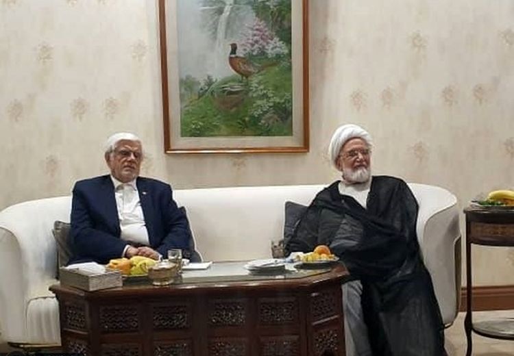 دیدار عارف با کروبی