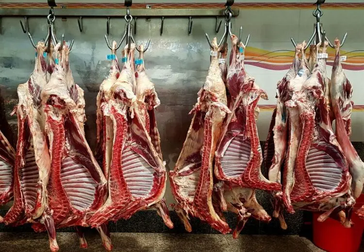 نرخ رسمی گوشت اعلام شد