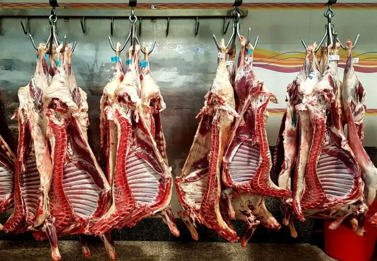 نرخ رسمی گوشت اعلام شد