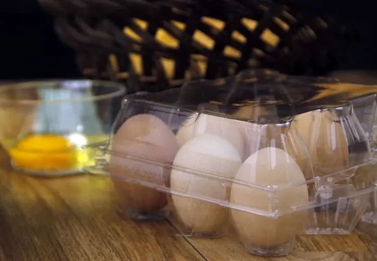 قیمت جدید و باورنکردنی مرغ و تخم مرغ اعلام شد