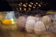 قیمت جدید و باورنکردنی مرغ و تخم مرغ اعلام شد