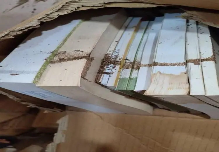 هجوم موریانه‌ها به کتابخانه عمومی لرستان
