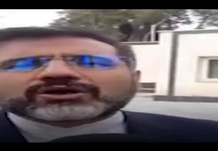 وزیر ارشاد: موافق اخذ مالیات از کنسرت‌ها هستیم/ فیلم