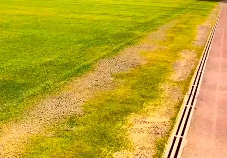 واکنش عجیب آقای مدیر به زردی چمن یادگار امام! + عکس