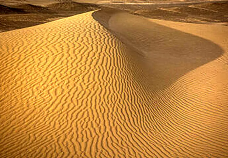 نجات معجزه آسای ۲ نفر در کویر نهبندان