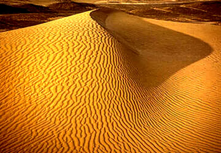 نجات معجزه آسای ۲ نفر در کویر نهبندان