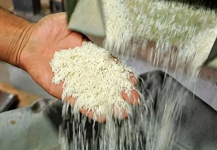 ماجرای ریختن چندین تُن برنج به دریا چه بود؟