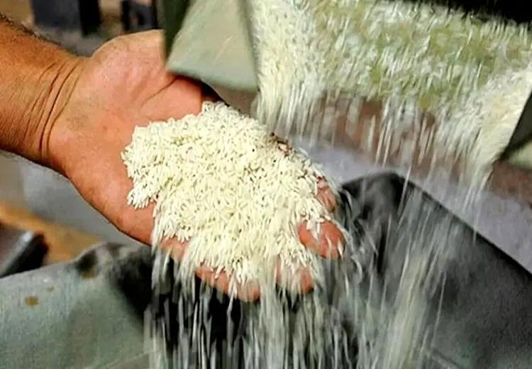 ماجرای ریختن چندین تُن برنج به دریا چه بود؟