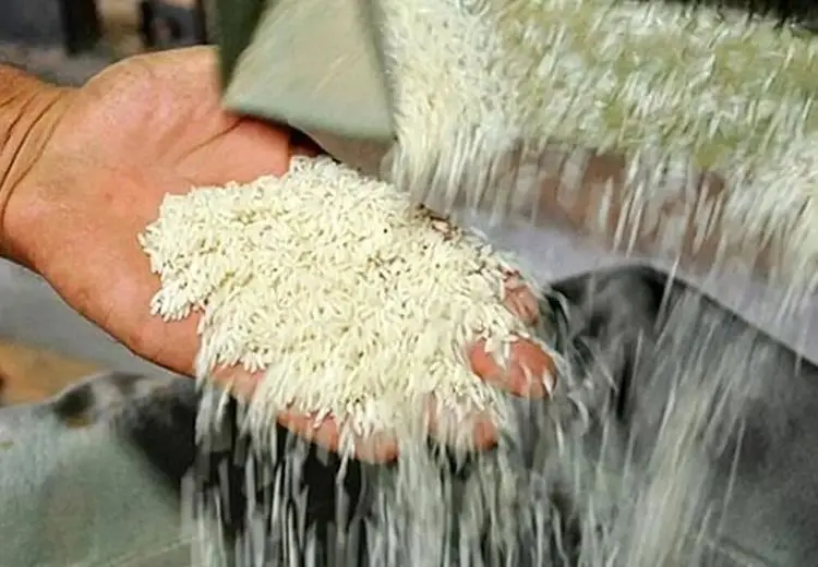 ماجرای ریختن چندین تُن برنج به دریا چه بود؟