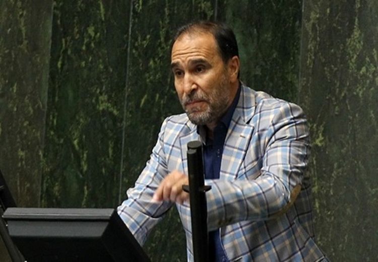 نماینده مجلس: مردان از همسران خود در خیابان سیر می‌شوند!