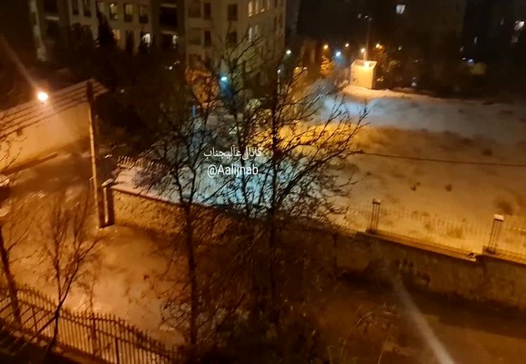 ویدیویی از بارش برف در نیاوران تهران
