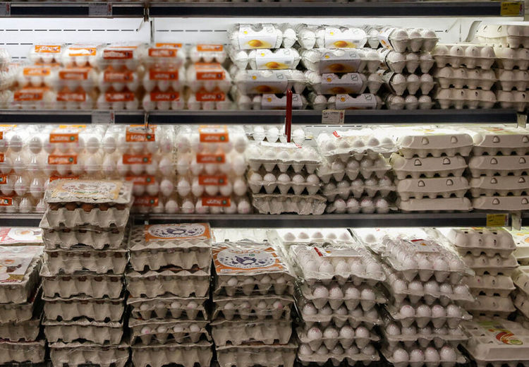 قیمت تخم مرغ سر به فلک کشید!