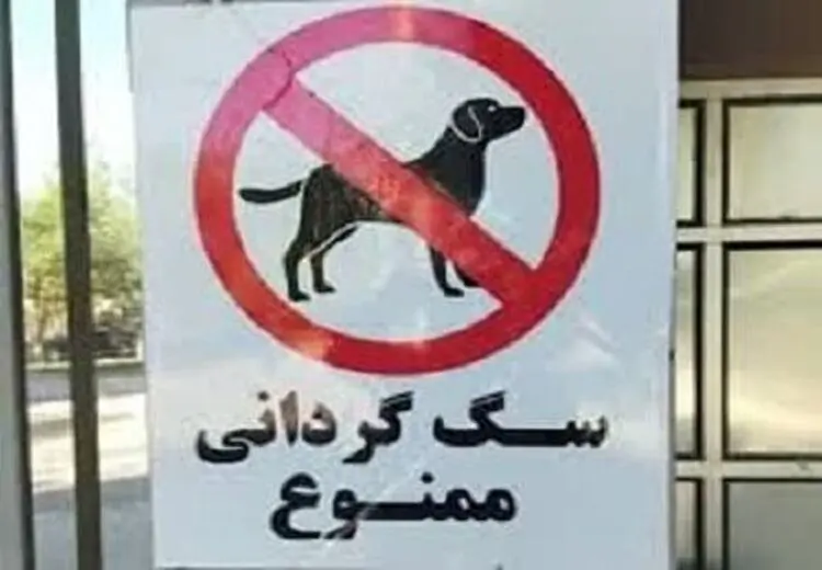 سگ‌گردانی در کرمان ممنوع شد / خودروی حامل سگ توقیف می‌شود