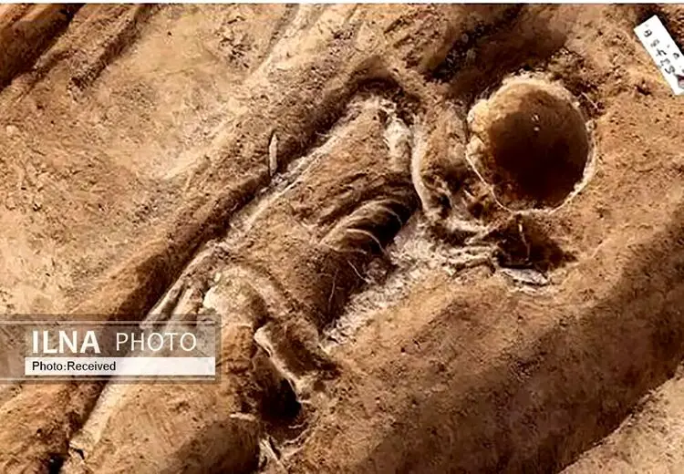 کشف گور یک زوج اشراف زاده بدون جمجمه در آلمان