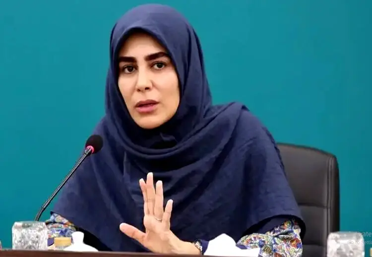 معاون وزیر ارشاد: شورای امنیت کشور، برگزاری کنسرت های خیابانی را تصویب کرده است