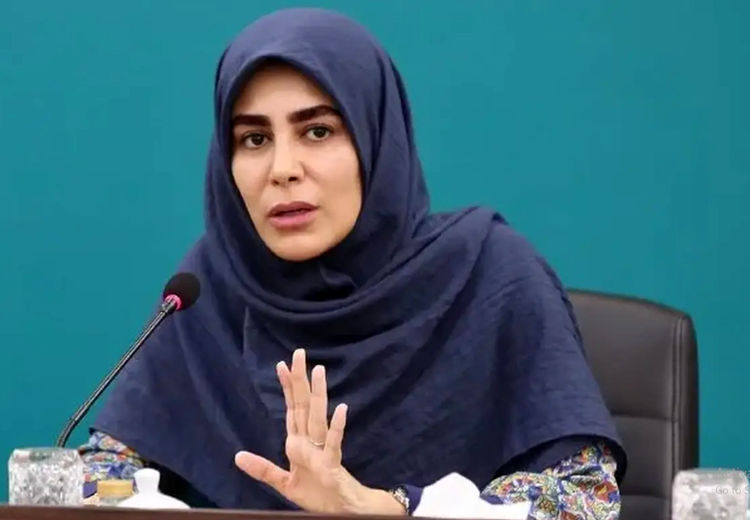 معاون وزیر ارشاد: شورای امنیت کشور، برگزاری کنسرت های خیابانی را تصویب کرده است