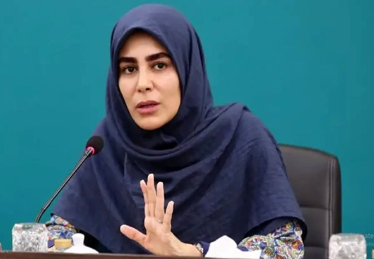 معاون وزیر ارشاد: شورای امنیت کشور، برگزاری کنسرت های خیابانی را تصویب کرده است