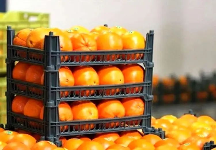 زمان توزیع میوه عید اعلام شد/ توضیح معاون وزیر جهادکشاورزی را بخوانید